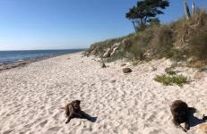 Haylees Hus 2 - Foto 7