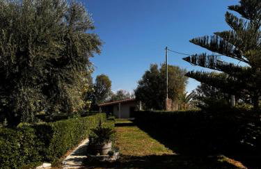 Infinity Blue Escape - Foto 19