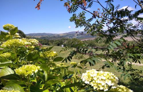 La Posada de Oscos II - Foto 6