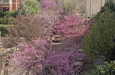 Attico Aventino - Foto 19