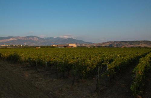 Tenuta Tre Gemme in Cantina- Renascenzia SantIrene - Foto 10