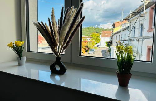 Große 2 Ferienwohnung Gästehaus NEUBAU Merzig 100 m2 - Photo 18