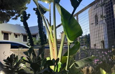 Serenity In Gonia - Foto 39