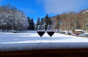 IL RIFUGIO DI GASTONE - Monte Amiata - Macinaie - - Foto 8