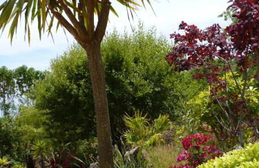 Casal das Oliveiras - Foto 47