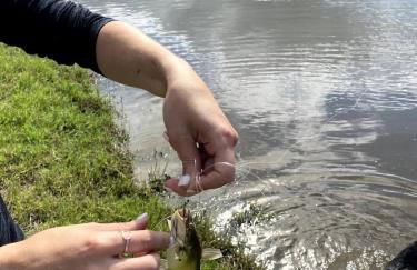 Relaxing Modern stay on a Ranch - Foto 37