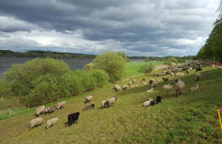 Kristians Hus - Foto 27