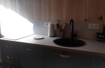 L'atypique du buisson de la gariole - Foto 20