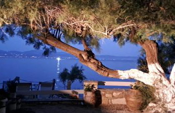 Dinas Inn - Photo 35