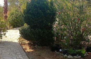 Tritsili house - Photo 51