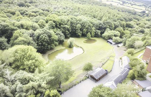 The Cabin - Private Car Park with CCTV - Fast WiFi - Peaceful Retreat with Views for Business or Couples - Foto 8