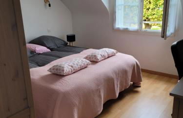 Bléré maison centre ville proche Beauval et Chenonceau - Foto 9