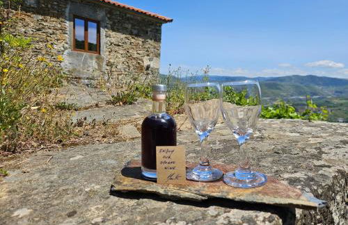 Quinta de Sobre a Fonte Charming Apartments - traditional winery - Foto 24