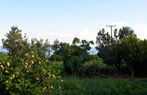 K vineyard house - Foto 10