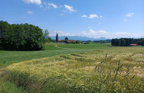 Knoglerhof am Rinser See - Foto 24