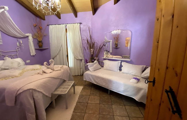 Lo Racó de Peret - Foto 15