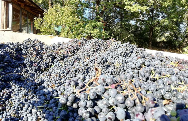 Agriturismo Crocino in Chianti - Foto 32