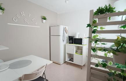 CENTER Santa Cruz, Alojamiento céntrico con gran terraza, cocina , salón y baños, todo privado - Foto 34