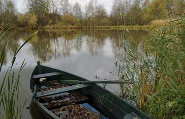 Mazurski Staw - Foto 13