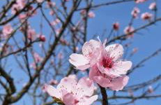 Haus Mittendrin - Foto 31