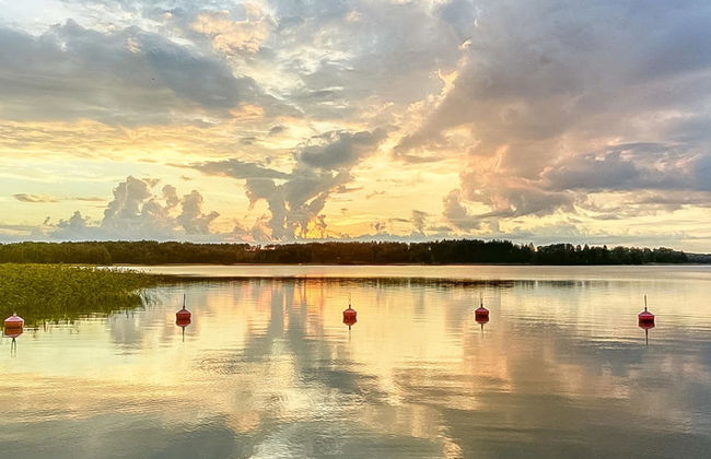 Willa anna b - Foto 17