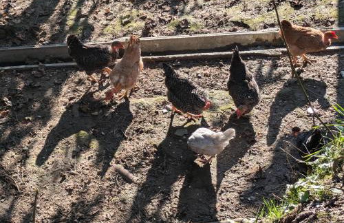 Casa do Valo - Foto 64