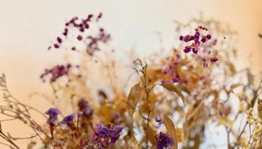 Le Gall, Centre ville de Rennes avec loggia - Foto 5