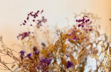 Le Gall, Centre ville de Rennes avec loggia - Foto 5