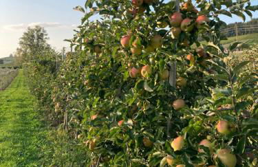 Ferienwohnung König - Foto 26