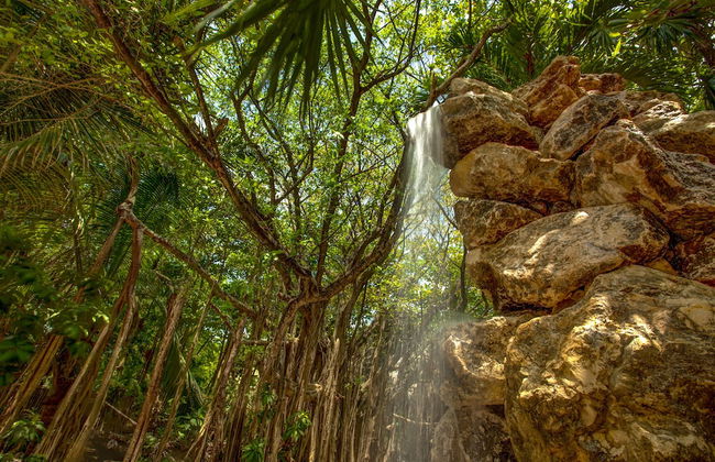 Xanadu Island Resort - Foto 70