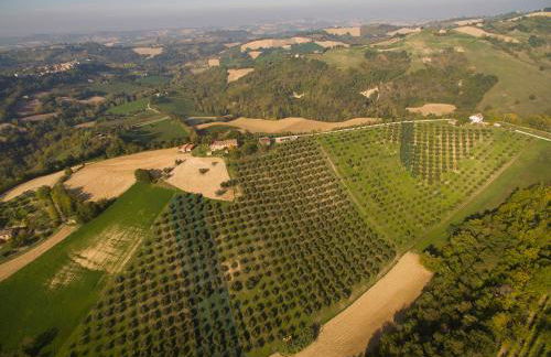 Agriturismo Serena -Petritoli- - Foto 51