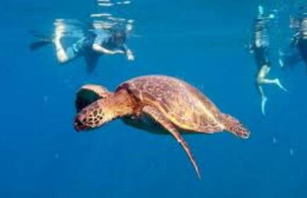 Kauai's 3bedroom 3bath Hawaiian Dream Condo - Foto 63