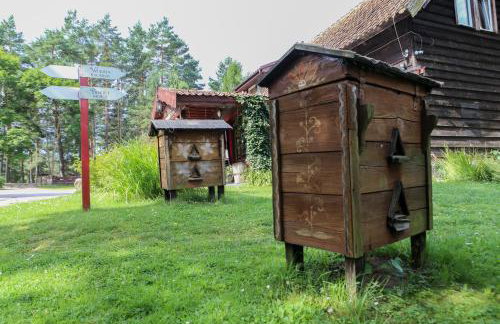 Domek u Bartnika z basenem na Mazurach - Foto 39