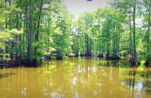 Lakefront Emerald Point wfirepit & kayaks - Foto 59