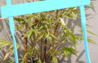 Glück Auf im Pott - Foto 28