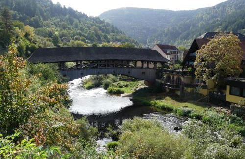 Ferienwohnungen Sonnenhalde mit schöner Aussicht - Foto 45