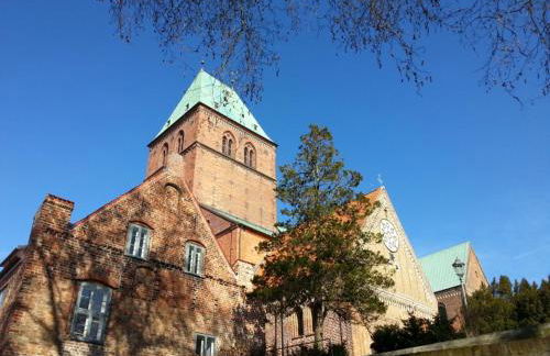 Haus Sonnenlicht. Idylle am Ratzeburger See! - Foto 54