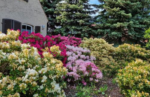 Ferienwohnung Schorfheide Krüger - Foto 6