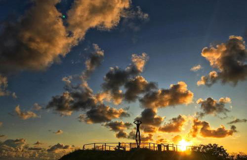 Arche Svea Kiebitz - Foto 11