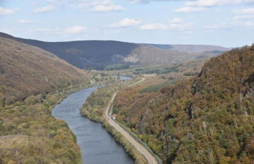 Le Gîte au bord de la Forêt - Foto 42