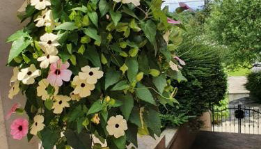 Holiday Home Demark - Foto 2