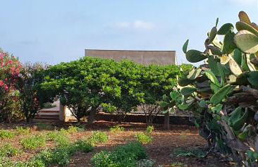 La casa sotto le stelle - Ustica - Foto 23