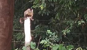 Casa Mataguari - Foto 4