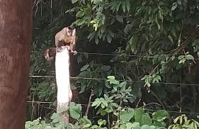 Casa Mataguari - Foto 4