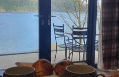 Carrick Chalets - Foto 34