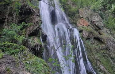 Gîte Le Petit Bois, près de Rocamadour, Padirac - Foto 36