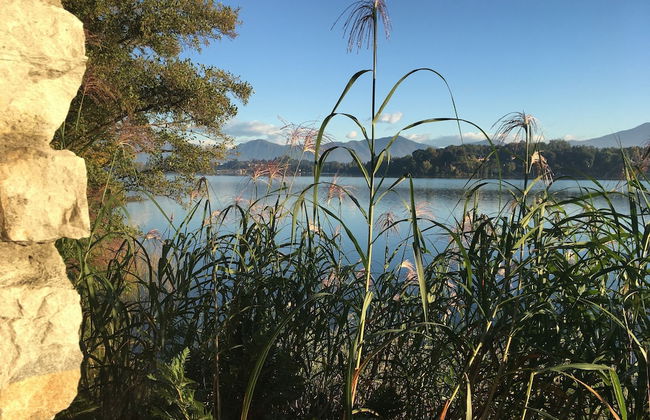 Brusisch 1638 - Photo 47