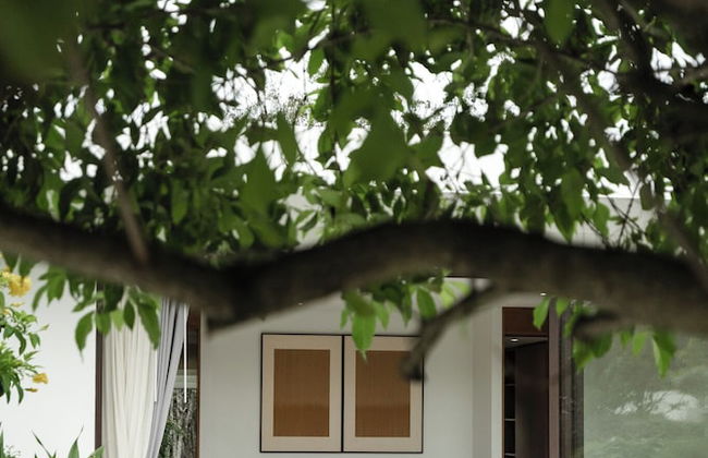 Tree O'clock Pool Villa - Phuket - Photo 17