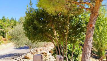 apartamentos turisticos la gitanilla - Foto 5, Garden