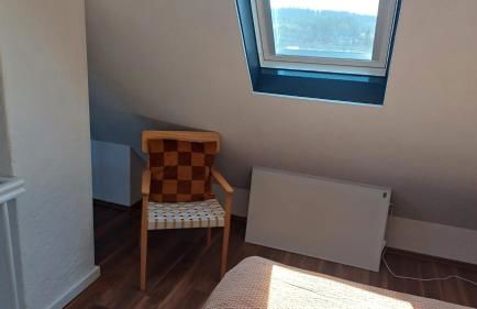 Blick auf den Magdalenenberg - Foto 20